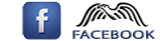 Facbook-logo-3b44qcwk6gomnpsx6z1ce8.png